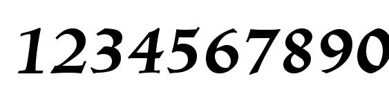 Linotype Trajanus BoldItalic Font, Number Fonts