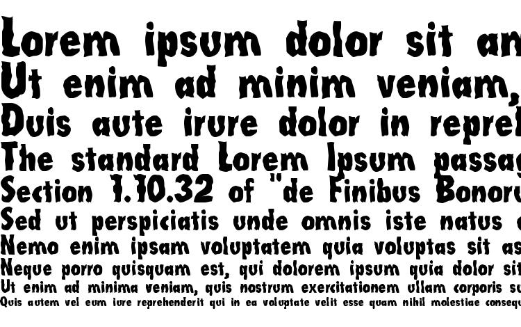 specimens LinotypeLaika font, sample LinotypeLaika font, an example of writing LinotypeLaika font, review LinotypeLaika font, preview LinotypeLaika font, LinotypeLaika font