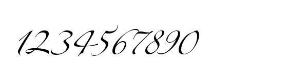 LinotypeZapfino One Font, Number Fonts