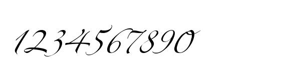LinotypeZapfino Three Font, Number Fonts