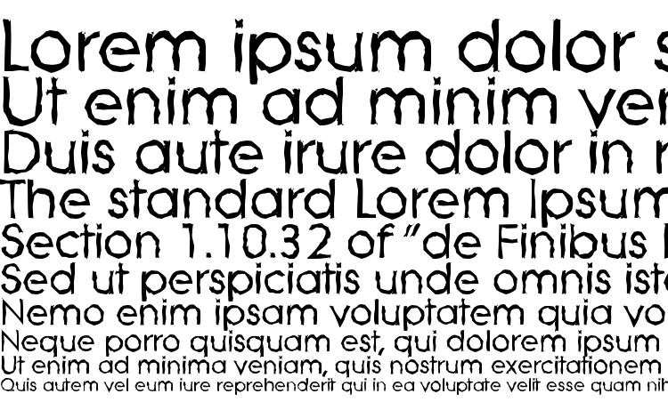 specimens LiteraRandom Bold font, sample LiteraRandom Bold font, an example of writing LiteraRandom Bold font, review LiteraRandom Bold font, preview LiteraRandom Bold font, LiteraRandom Bold font
