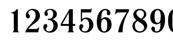 Literaturnaya Bold Font, Number Fonts