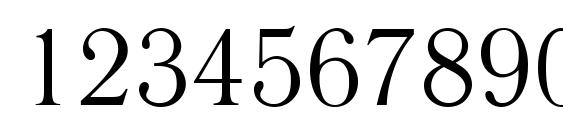 Literaturnaya Plain.001.001 Font, Number Fonts