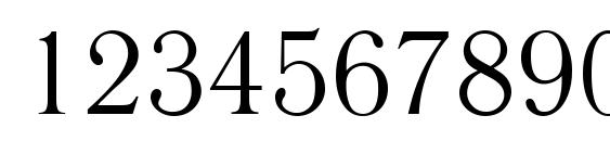 Literaturnaya plain Font, Number Fonts