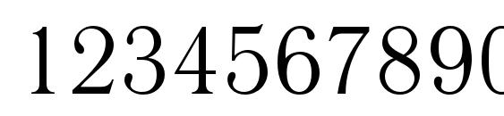 Literaturnaya Regular Font, Number Fonts