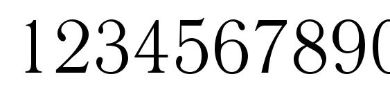 Literaturnaya Font, Number Fonts