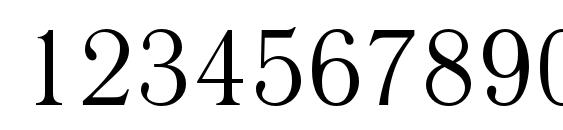 Literaturnayac Font, Number Fonts