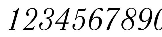LiteraturnayaCTT Italic Font, Number Fonts