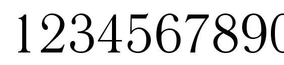 LiteraturnayaCTT Font, Number Fonts