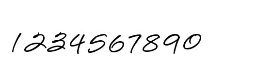 LoosieScript Font, Number Fonts