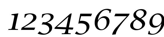 Lucida Calligraphy Italic Font, Number Fonts