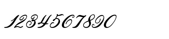 Ludvig van Bethoveen Font, Number Fonts