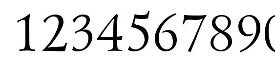 Lzr1 Font, Number Fonts