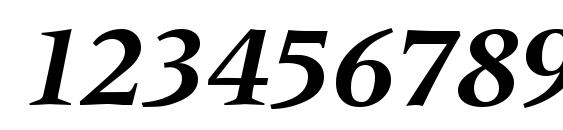 M690 Roman BoldItalic Font, Number Fonts