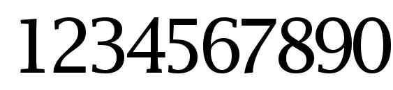Machadossk regular Font, Number Fonts