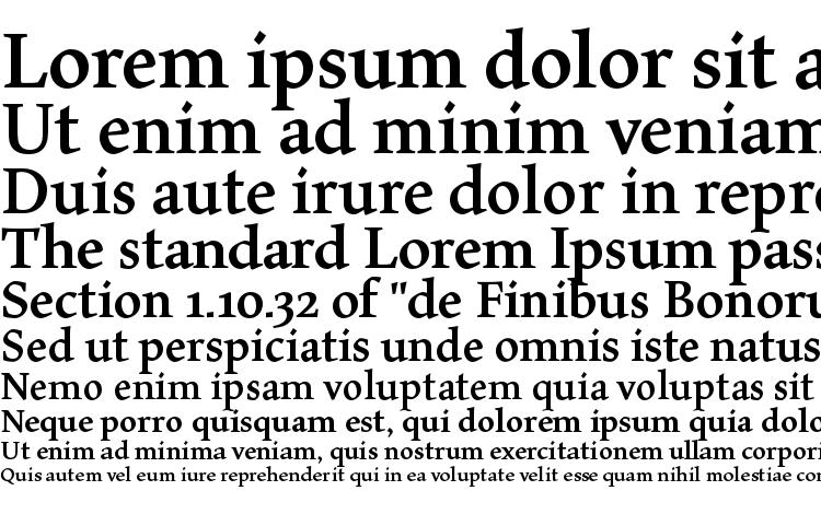 specimens MaiolaPro Bold font, sample MaiolaPro Bold font, an example of writing MaiolaPro Bold font, review MaiolaPro Bold font, preview MaiolaPro Bold font, MaiolaPro Bold font