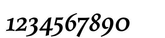 MaiolaPro BoldItalic Font, Number Fonts