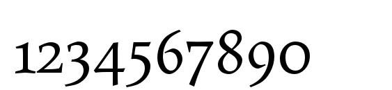 MaiolaPro Font, Number Fonts