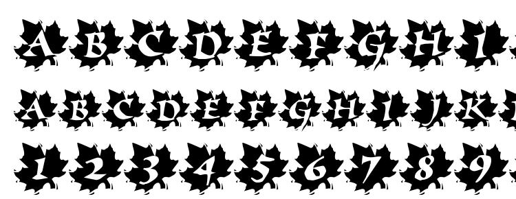 glyphs Maple Leaf Rag font, сharacters Maple Leaf Rag font, symbols Maple Leaf Rag font, character map Maple Leaf Rag font, preview Maple Leaf Rag font, abc Maple Leaf Rag font, Maple Leaf Rag font