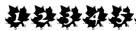 Maple Leaf Rag Font, Number Fonts