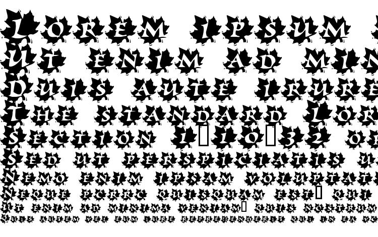 specimens Maple Leaf Rag font, sample Maple Leaf Rag font, an example of writing Maple Leaf Rag font, review Maple Leaf Rag font, preview Maple Leaf Rag font, Maple Leaf Rag font