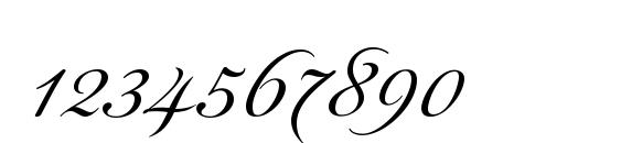 Maria Antuanetta Font, Number Fonts