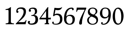 Marion Regular Font, Number Fonts