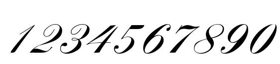 Markiz de Sad script Font, Number Fonts