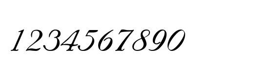 Marriage Script Normal Font, Number Fonts