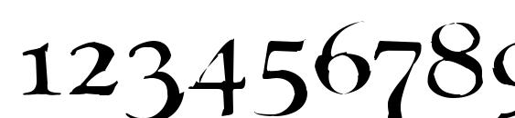 Mary jane larabie Font, Number Fonts