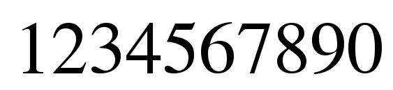 Mean 26 serif Font, Number Fonts