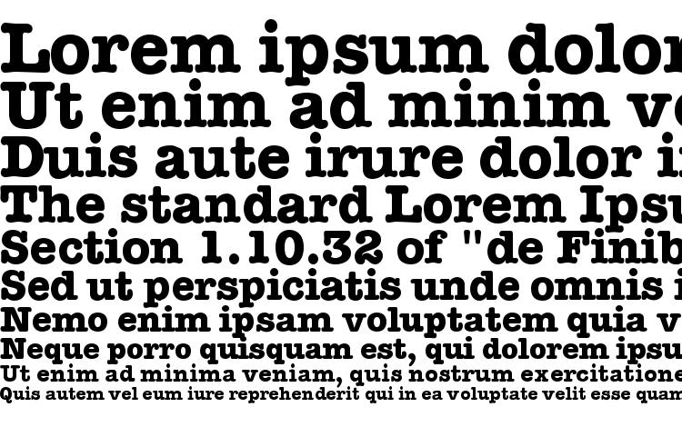 specimens Memorandum Bold font, sample Memorandum Bold font, an example of writing Memorandum Bold font, review Memorandum Bold font, preview Memorandum Bold font, Memorandum Bold font