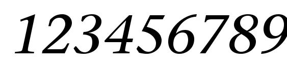 Mesouran Serif SSi Italic Font, Number Fonts