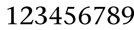 Mesouran Serif SSi Font, Number Fonts