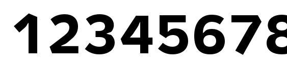 Metron Text Pro Bold Font, Number Fonts