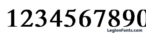 MicroTiempo Normal Bold Font, Number Fonts