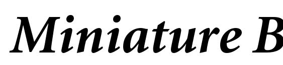 Miniature BoldItalic Font