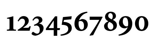 Minion Bold Oldstyle Figures Font, Number Fonts