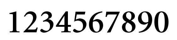 Minion Cyrillic Semibold Font, Number Fonts