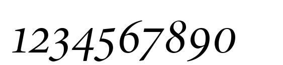 Minion Expert Display Italic Font, Number Fonts