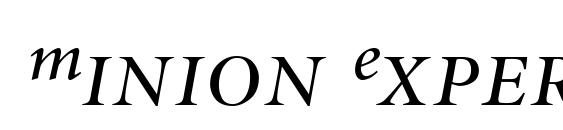 Minion Expert Display Italic Font