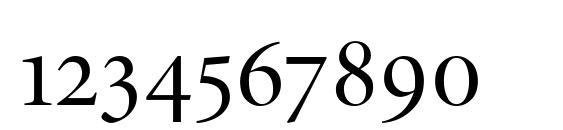 Minion Expert Display Regular Font, Number Fonts