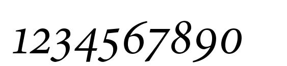 Minion Expert Italic Font, Number Fonts
