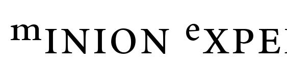 Minion Expert Regular Font