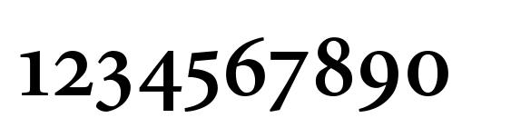 Minion Expert Semibold Font, Number Fonts