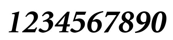 Minion LT Bold Italic Font, Number Fonts