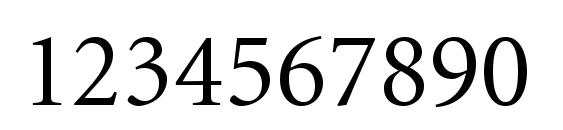 Minion LT Regular Font, Number Fonts