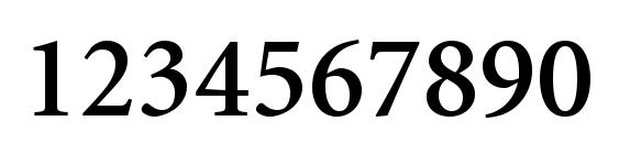 Minion LT Semibold Font, Number Fonts