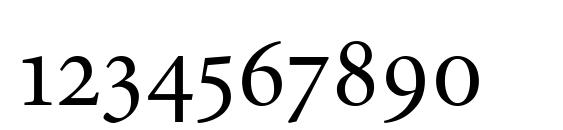 Minion Regular Small Caps & Oldstyle Figures Font, Number Fonts