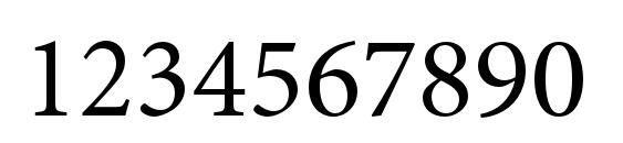 MinionPro Regular Font, Number Fonts